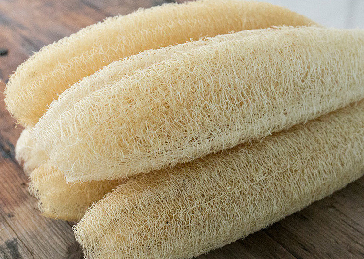 Loofah vegetable sponges, pack of 5