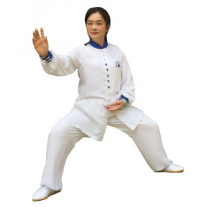 Personalized Summer linen and silk Tai Chi / Kung Fu Top, Uniform, SHI YI DUO