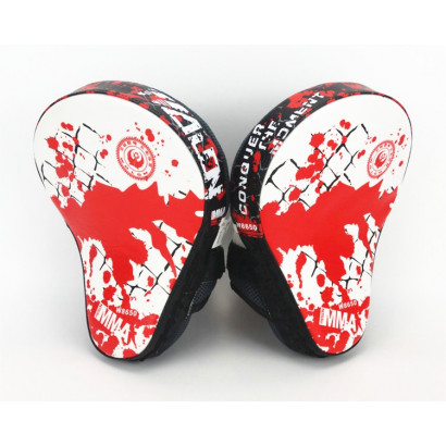 Curved Focus Mitts, MMA Fight
